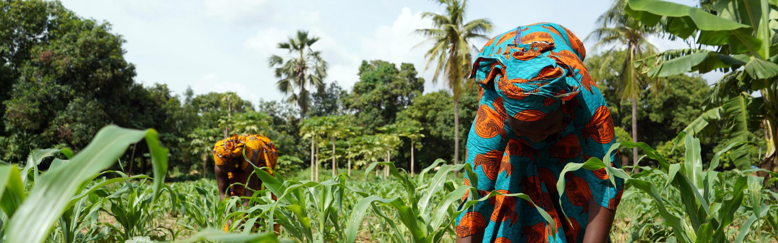 women in agriculture