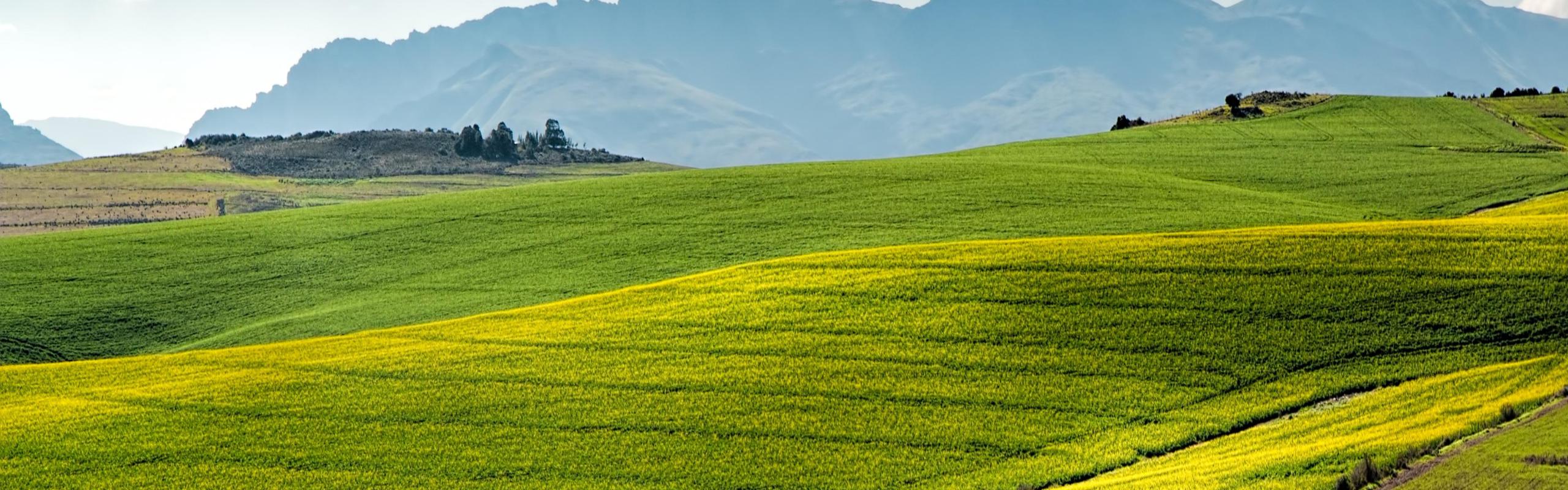 farm landscape